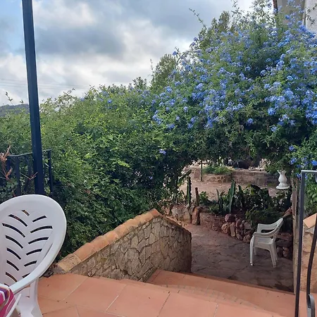 Apartamentos Christina Benicàssim Extérieur photo